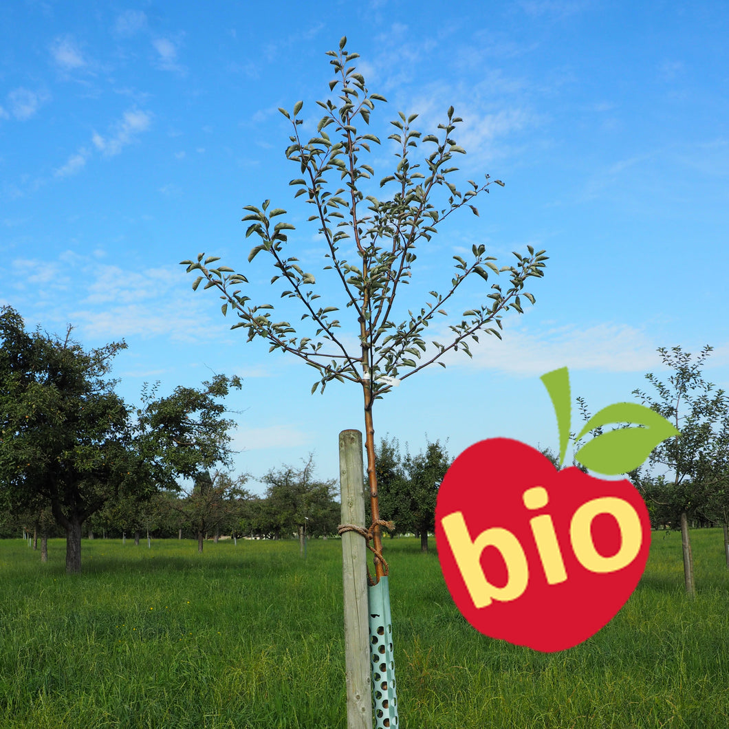 Rewena biologisch