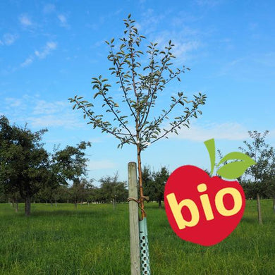 Williams biologisch